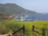 Garrapata State Park, Big Sur