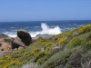 Pt. Lobos, Carmel Valley, CA