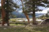 Tuolomne Meadows, Yosemite